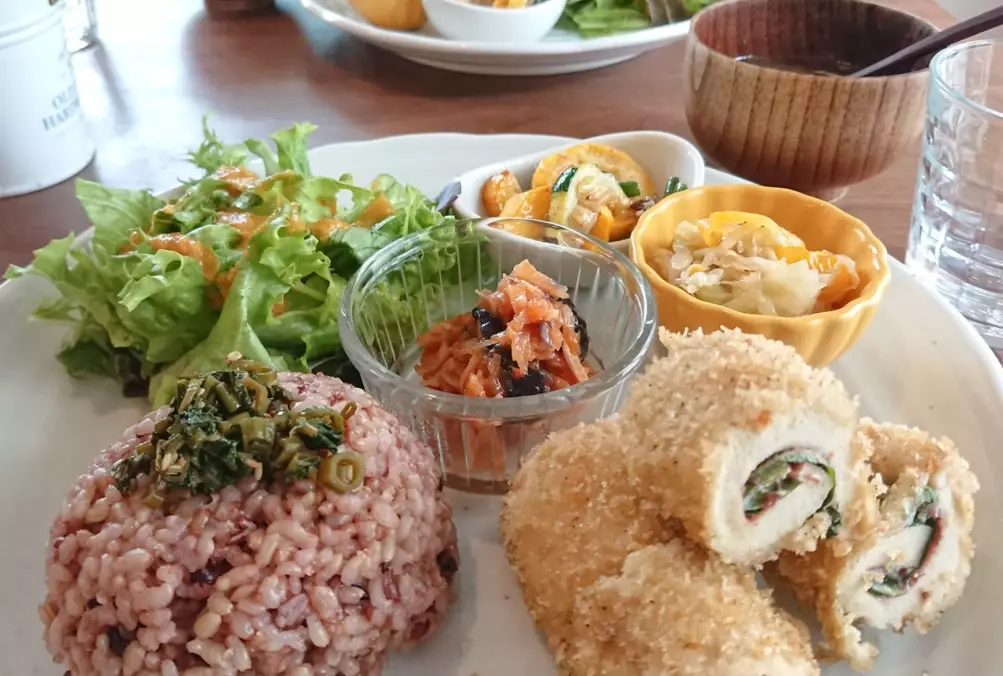 vegan restaurants Japan vegan restaurants Japan