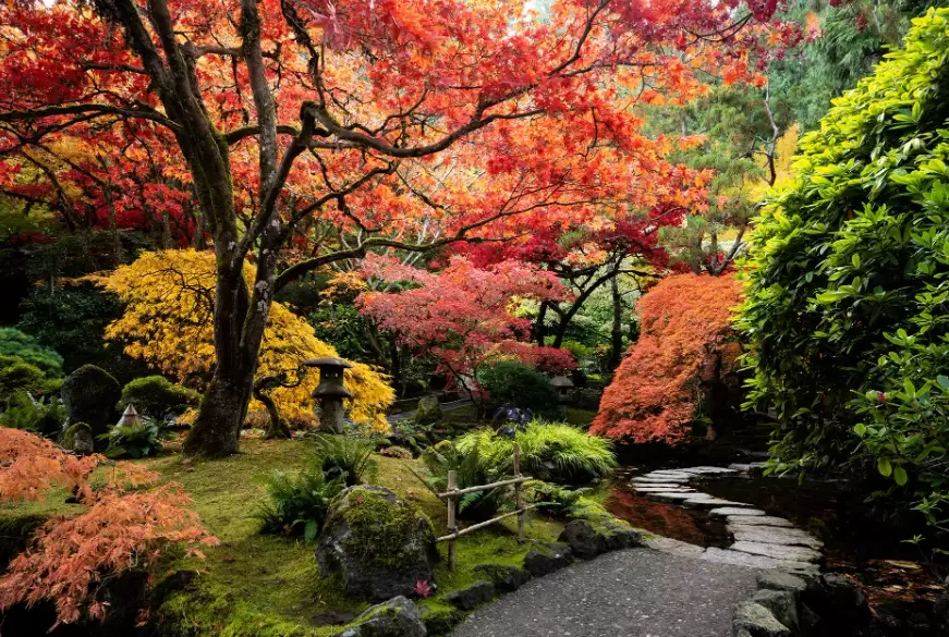 best Japanese gardens