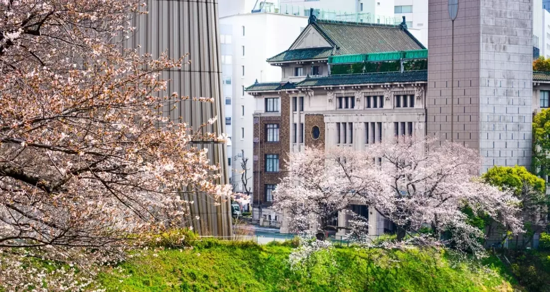 how much to save for Japan