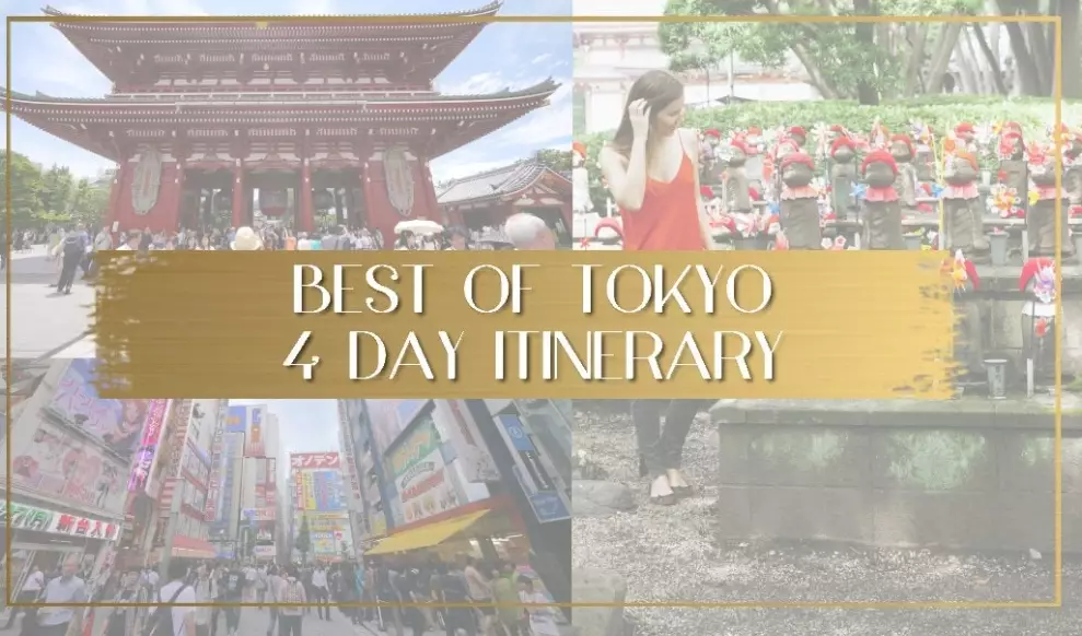 things to do in Tokyo winter