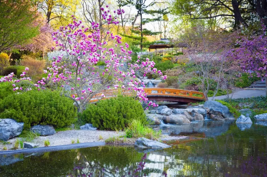 Japanese garden landscape