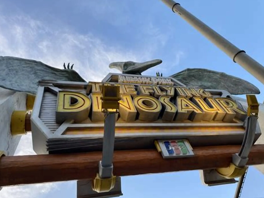 Japan disability pension