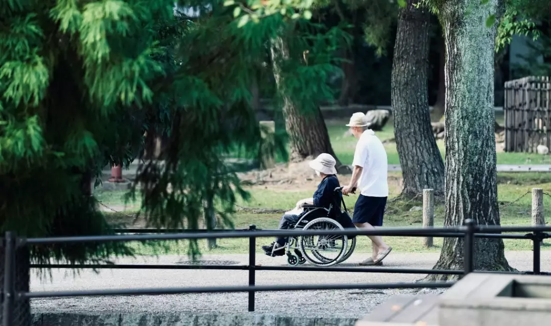 disability in Japan disability in Japan