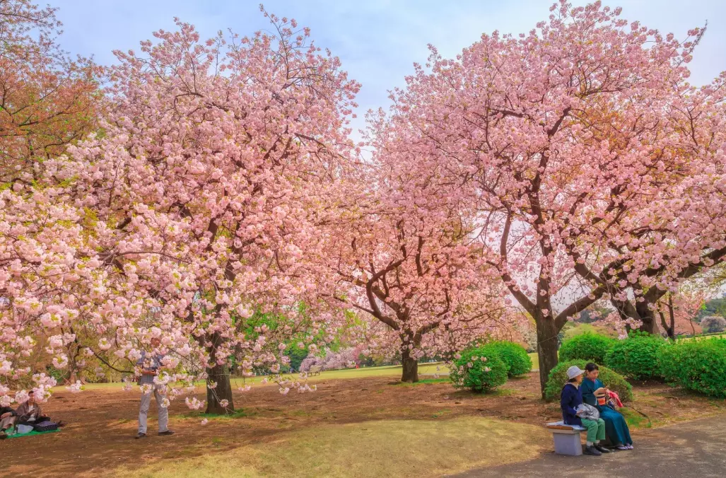 famous parks in Japan