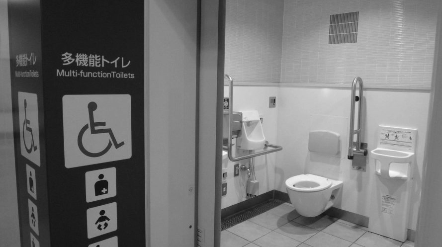 wheelchair accessible Japan
