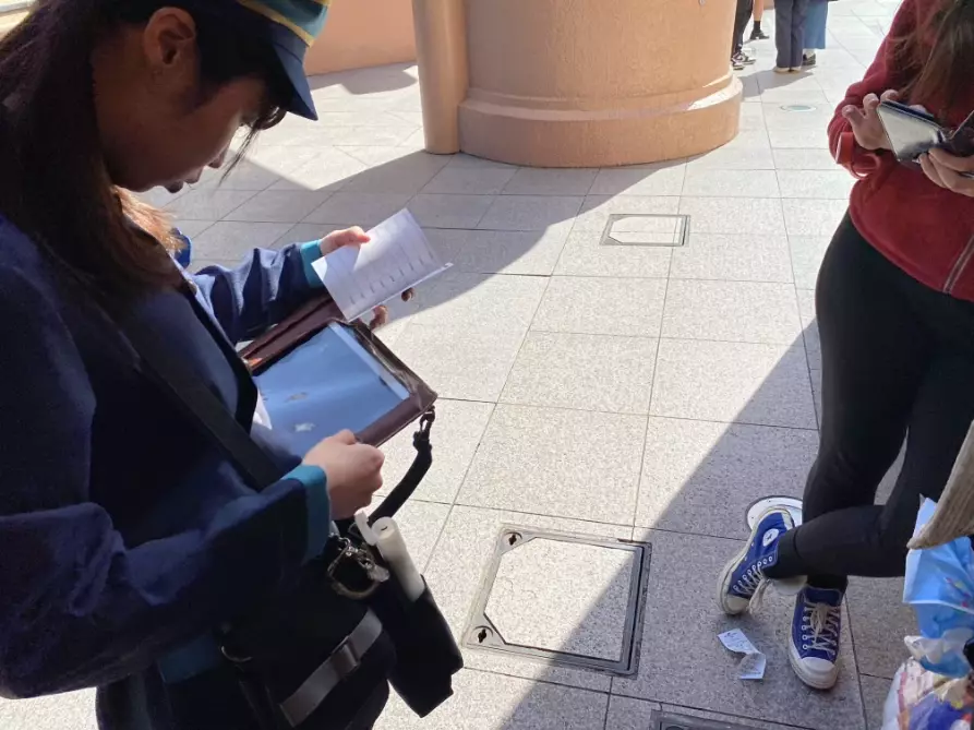 Japan disability pension