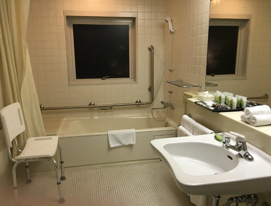 disability benefits Japan