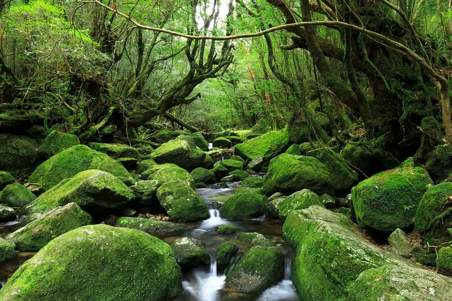 best national parks in Japan best national parks in Japan