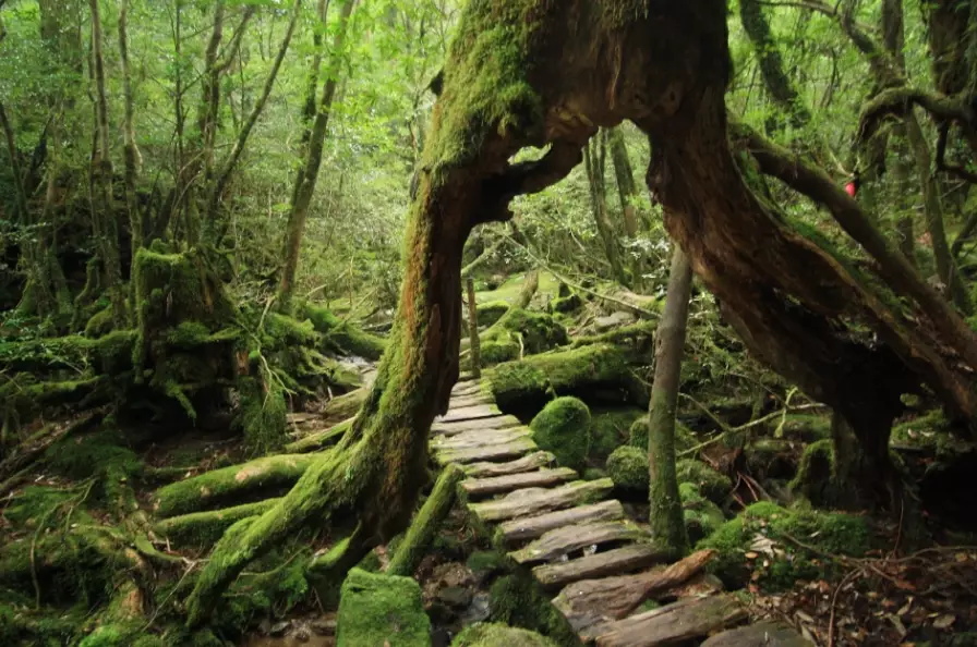 Shiretoko National Park Shiretoko National Park