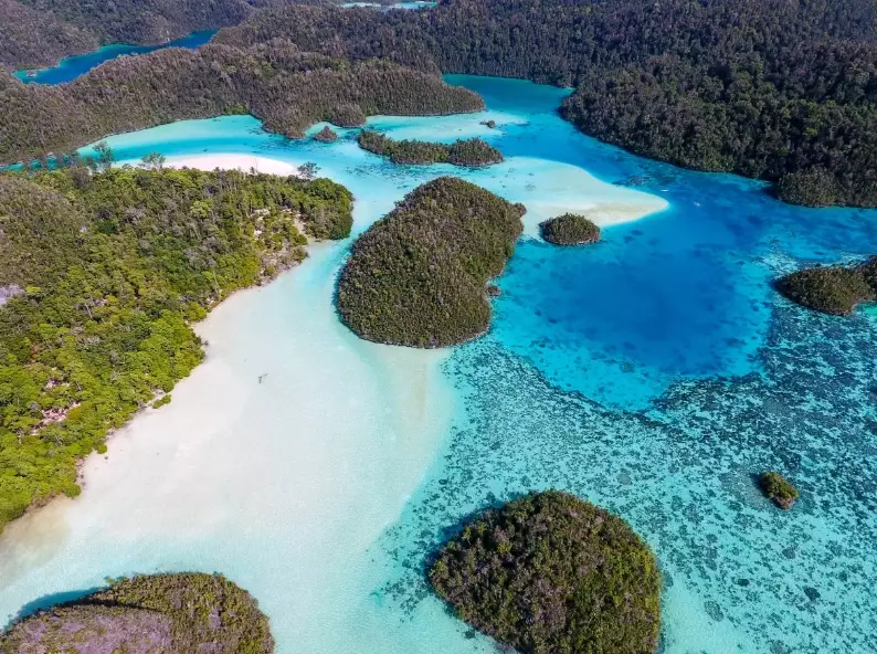 raja ampat beginner diving