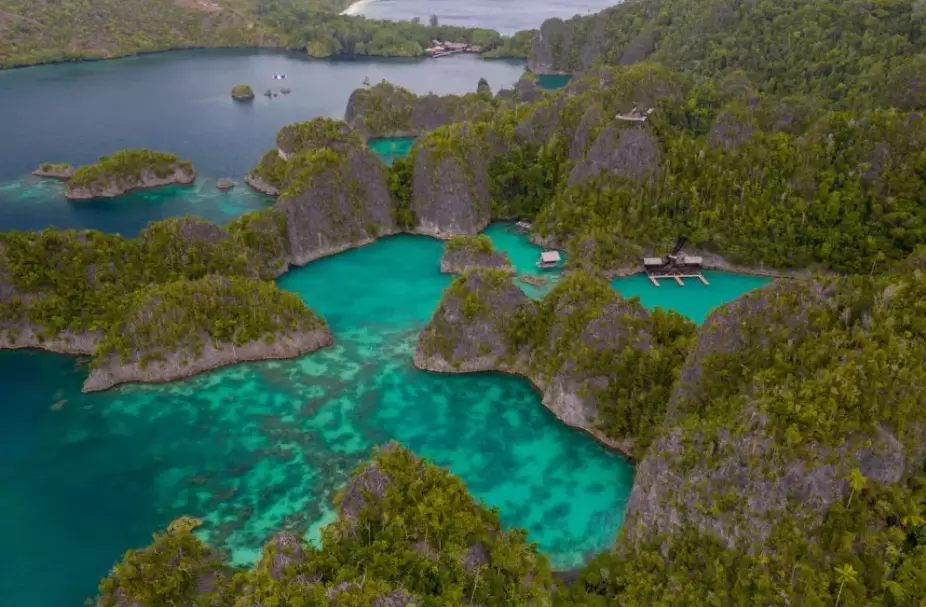 raja ampat beginner diving