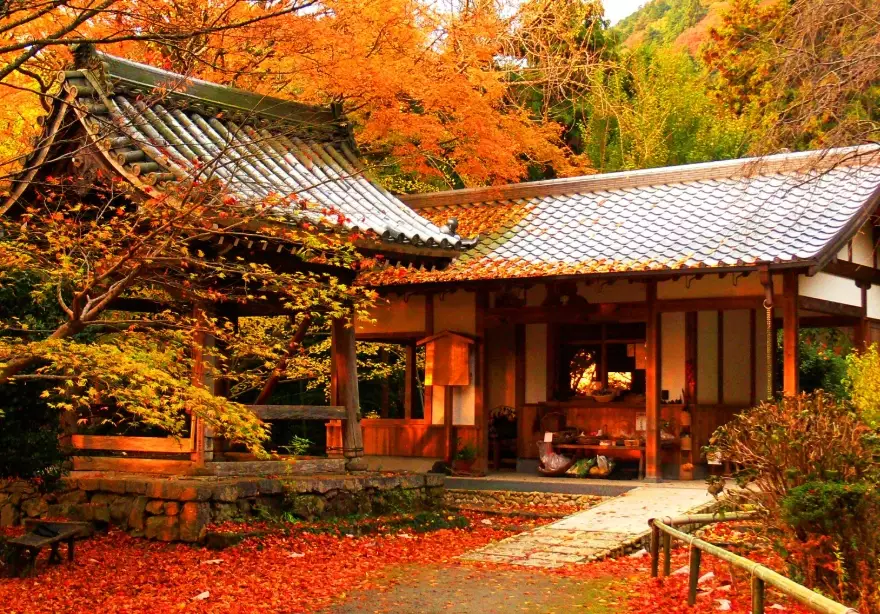 fall foliage Japan fall foliage Japan