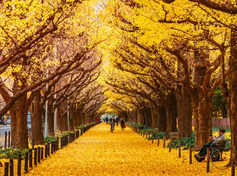 10 day Japan itinerary 10 day Japan itinerary