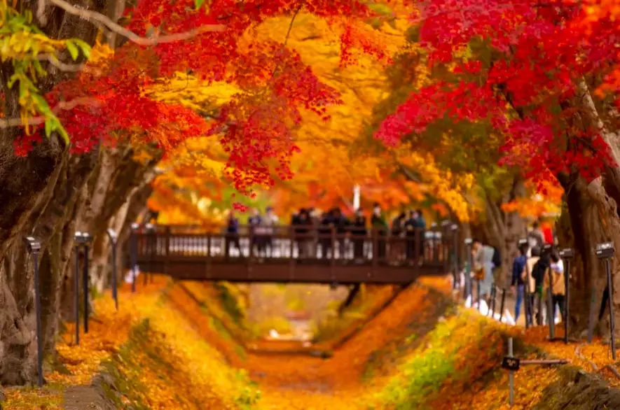Japan itinerary 10 days autumn