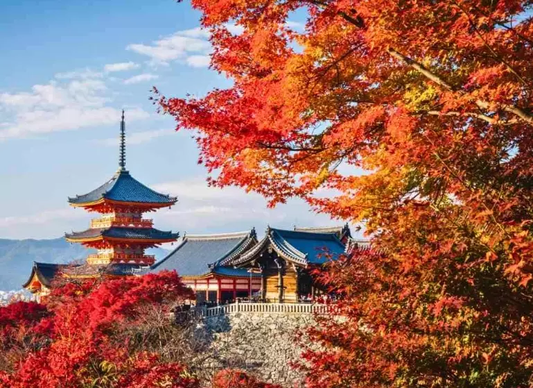 fall foliage Japan fall foliage Japan
