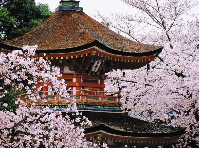 Japan family vacation itinerary