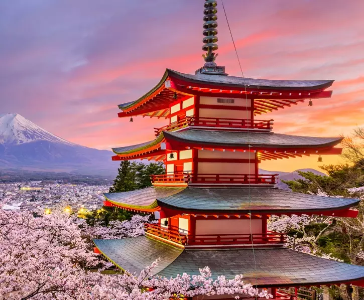 Japan trip with kids