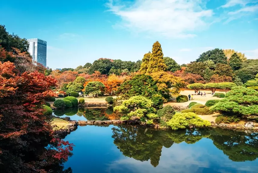 Tokyo nature attractions