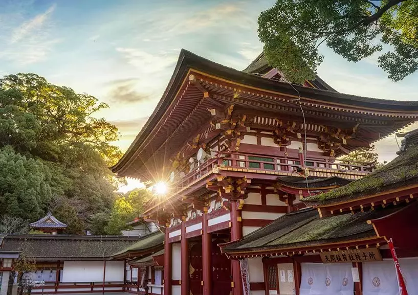 Is cruising around Japan a good idea?